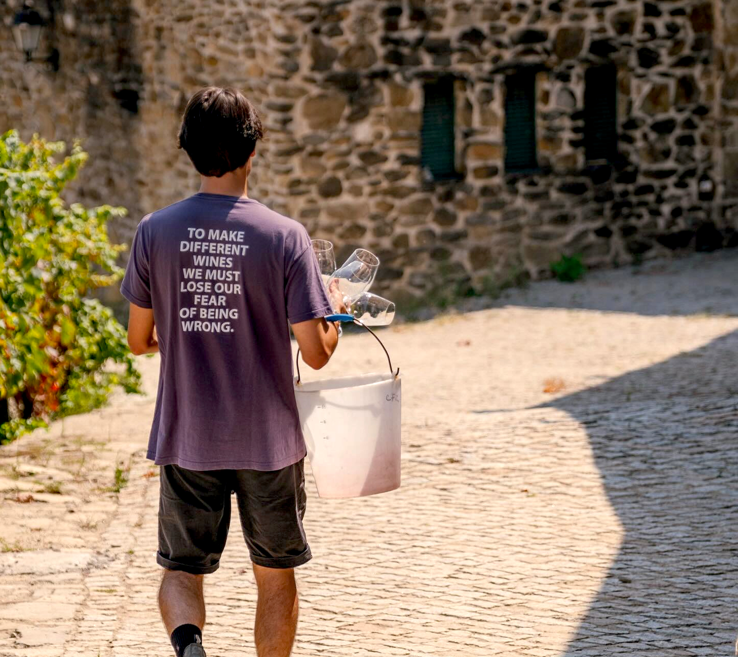 Herdades & Quintas – unsere Weingüter